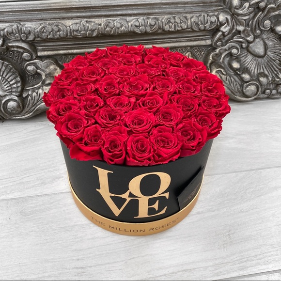 The Million Roses Other - THE MILLION ROSES— in Red The Million Roses Other - THE MILLION ROSES— in Red